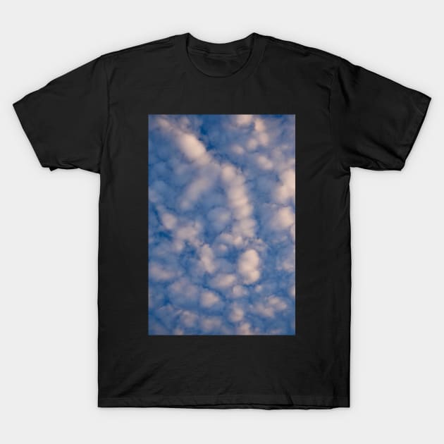 Fluffy Clouds T-Shirt by rachelboucher